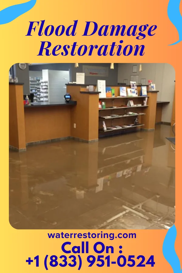 Flood Damage Restoration in Franklin Grove, IL